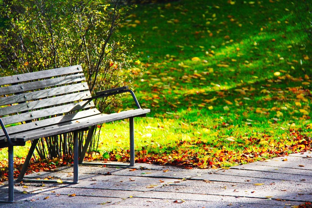 ogród jesienią
